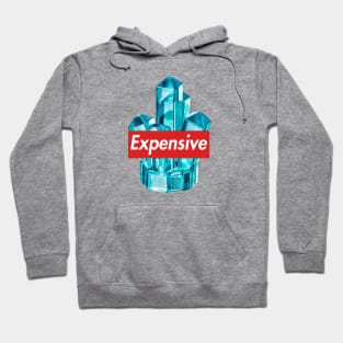 Expensive Hoodie